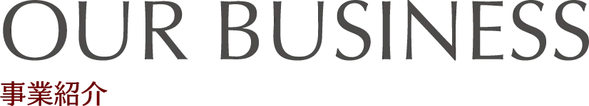 OUR BUSINESS